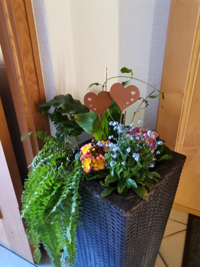 Ferienwohnung Hohe Wand ハイリゲンブルート エクステリア 写真